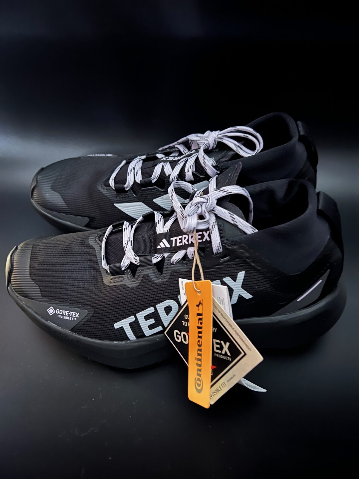 IMG_2191 Buty biegowe damskie trailowe Adidas Terrex Agravic Gore-tex 39 1/3 - obrazek 5