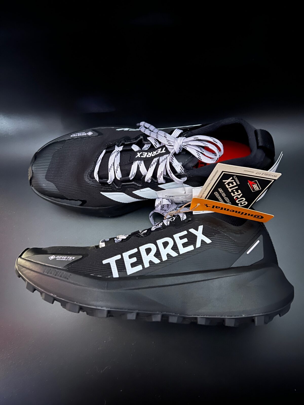 IMG_2192 Buty biegowe damskie trailowe Adidas Terrex Agravic Gore-tex 39 1/3 - obrazek 1