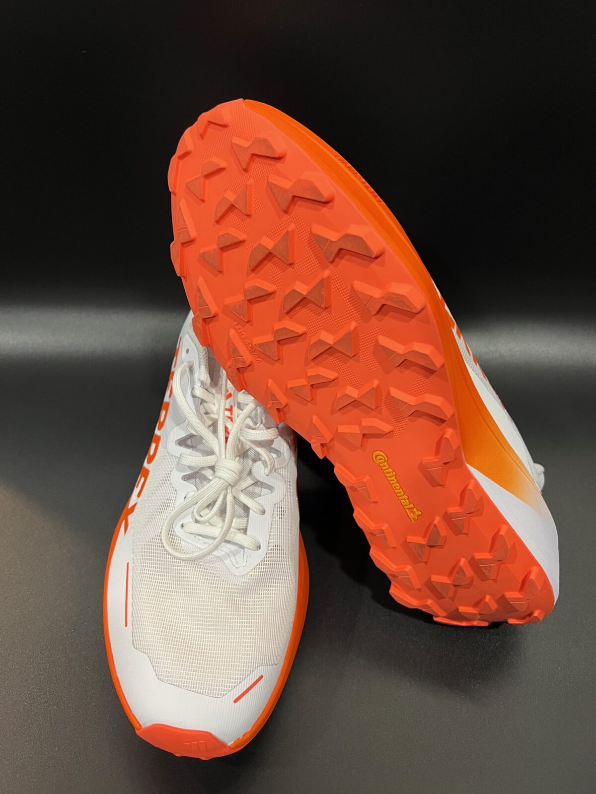 IMG_3213 Buty Adidas Terrex Agravic 3 Trail Running białe 48 - obrazek 2