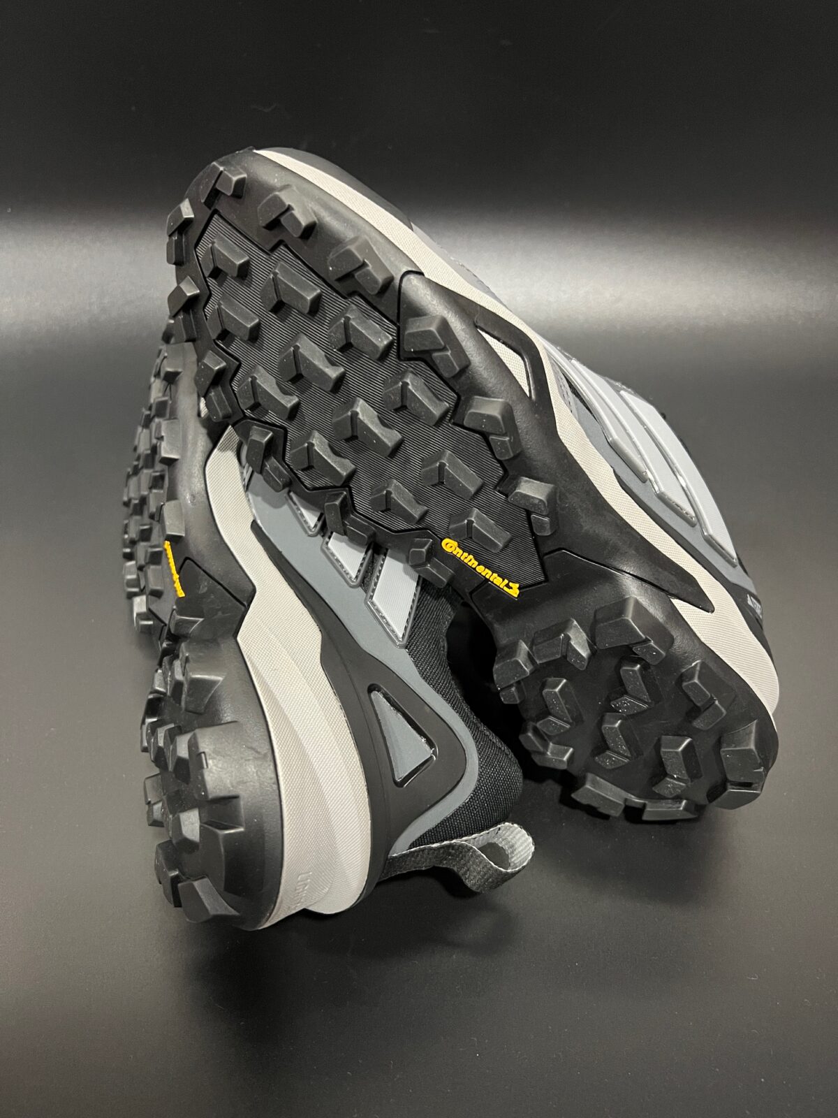 IMG_3357 Buty trekkingowe damskie Adidas Terrex Skychaser Gore-Tex czarne 39 1\3 - obrazek 2